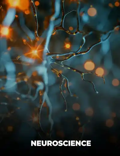Neuroscience